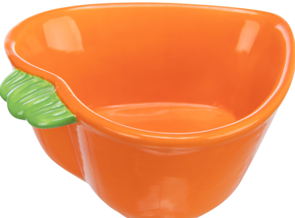 Ceramic Carrot Bowl - Small Animal Bowl - Pet Essentials