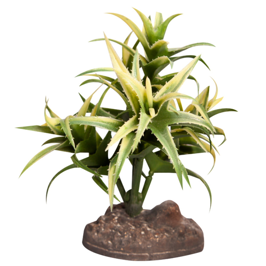 Reptile One Flexuosa Green With Ceramic Base, Reptile ornaments, pet essentials warehouse