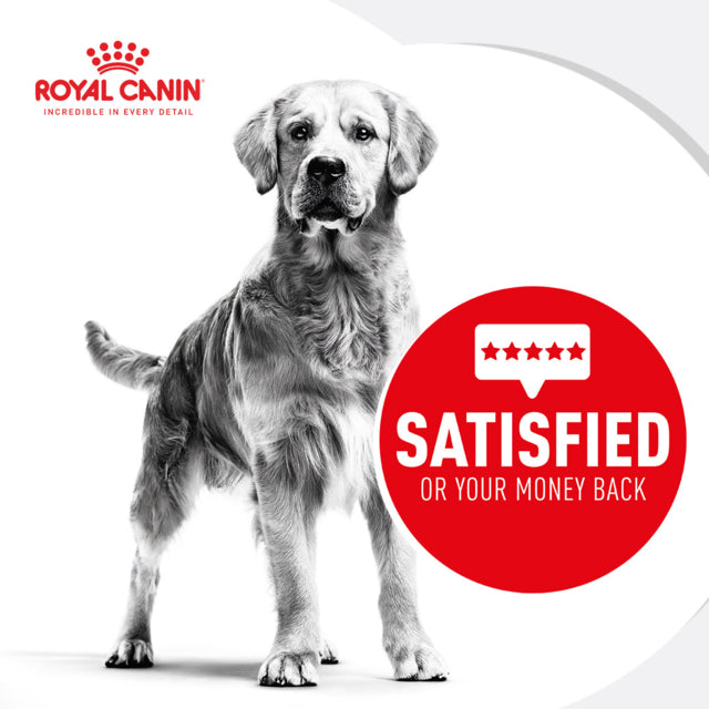 Royal Canin Dog Mini Dental Care, Royal Canin for dogs, Pet Essentials Warehouse