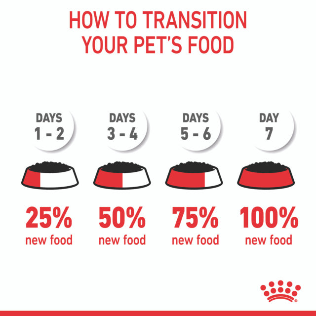 Royal Canin Medium Puppy Wet Food, how to transition feeding, Pet Essentials Warehouse