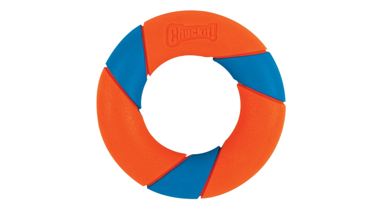 Chuckit Ultra Ring Dog Toy, Foam Ring dog toy, pet essentials warehouse