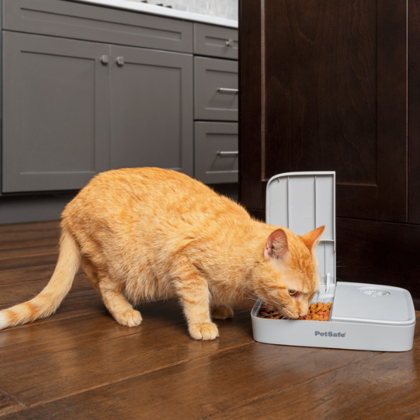 Petsafe Automatic 2 Meal Pet Feeder, Feeder for pets, Time feeder for pets, Hoilday feeder for pets, cat and dog auto feeder, Auto feeder for cats, Pet Essentials Warehouse