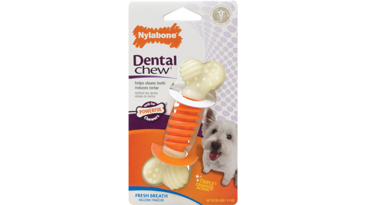 Nylabone Power Chew Dental Pro Action Bone Dog Toy, Strong dog chew, Dental dog chew small dogs