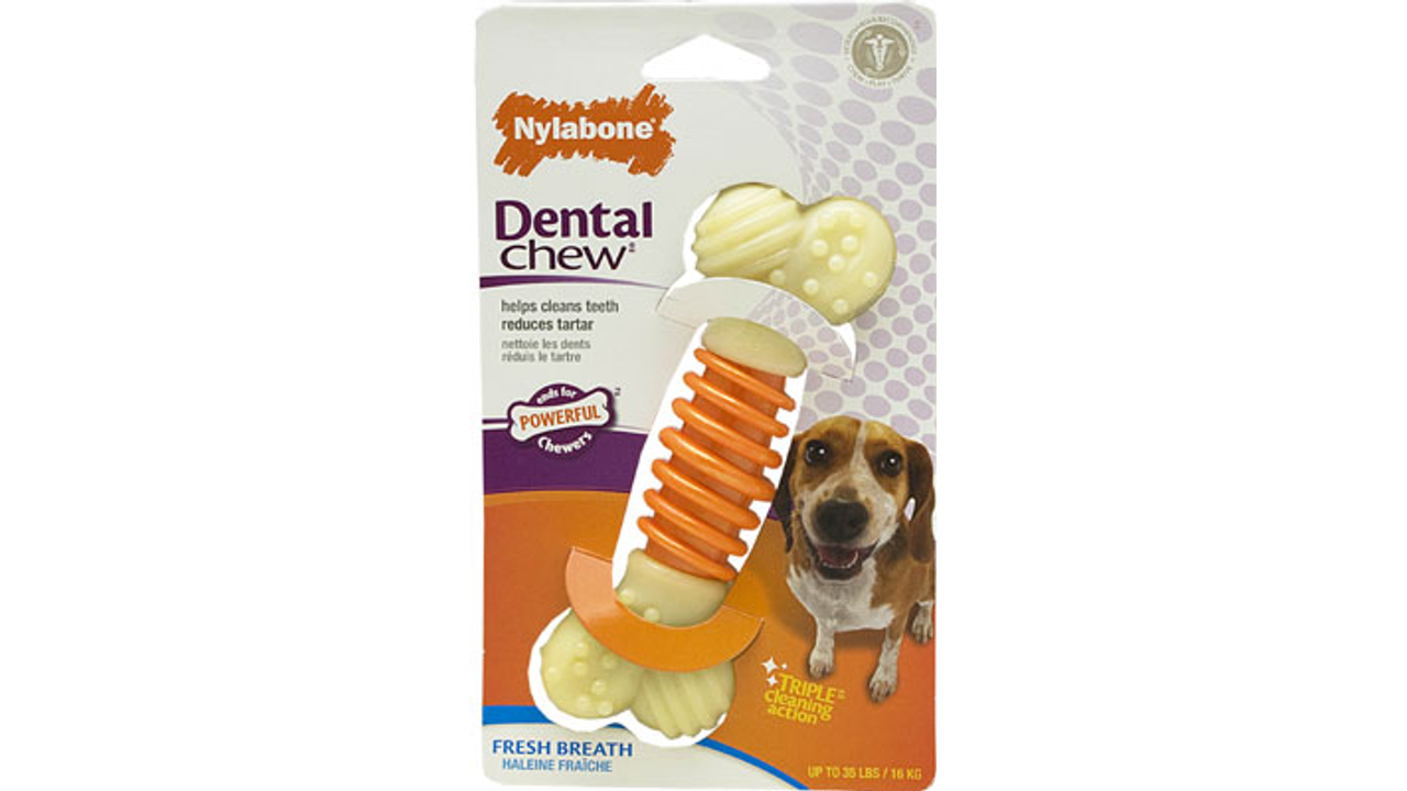 Nylabone Power Chew Dental Pro Action Bone Dog Toy, Strong dog chew, Dental dog chew Medium, Pet Essentials Waehouse