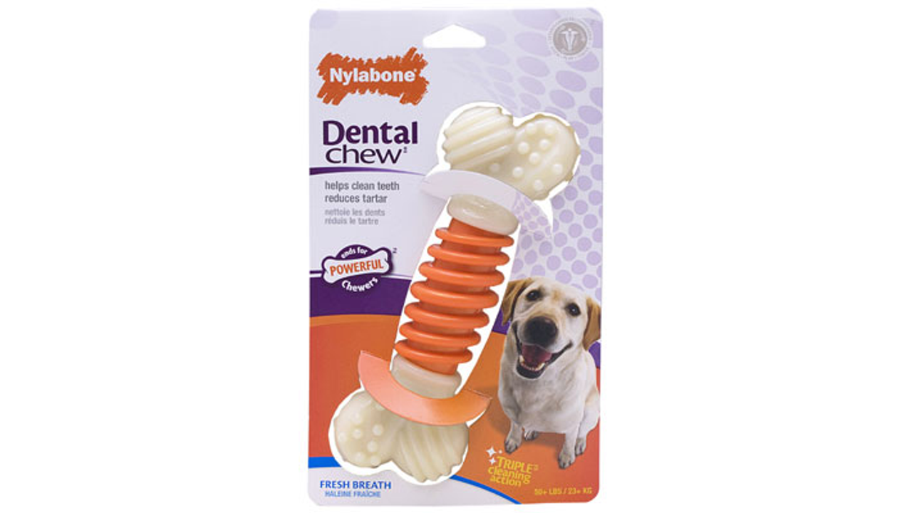 Nylabone Power Chew Dental Pro Action Bone Dog Toy, Strong dog chew, Dental dog chew Large, Pet Essentials Waehouse