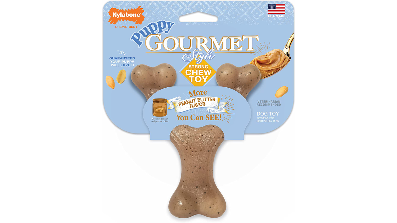 Nylabone Puppy Gourmet Style Strong Whisbone Peanut Butter, Puppy Style chew toy, Chew toy for puppies, Pet Essentials Warehouse