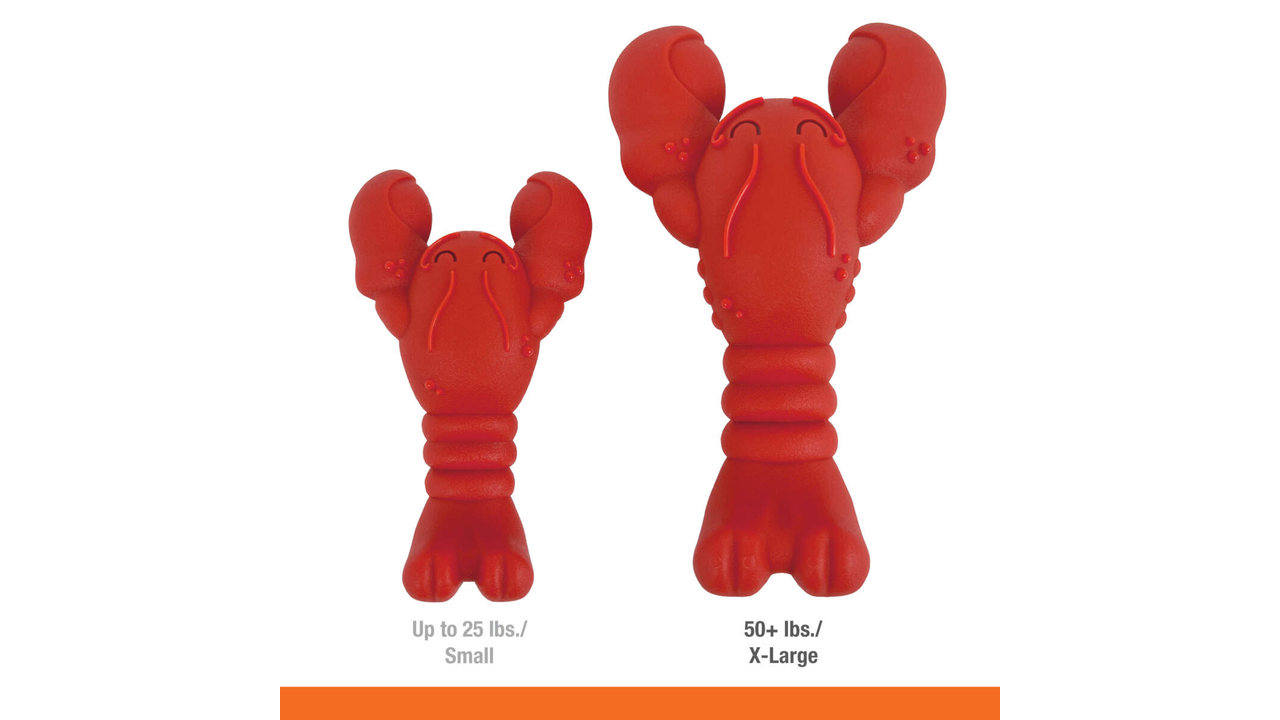 Nylabone Power Chew Lobster Dog Toy, Large Dog Chew Toy, Power Chew toy, Pet Essentials Warehouse, Size Difference poster