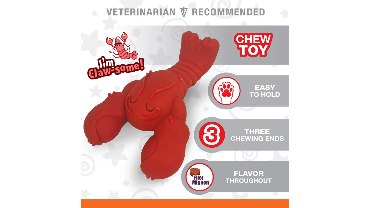 Nylabone Power Chew Lobster Dog Toy, Large Dog Chew Toy, Power Chew toy, Pet Essentials Warehouse, Chew Dog Toy