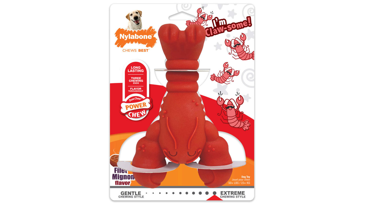 Nylabone Power Chew Lobster Dog Toy, Large Dog Chew Toy, Power Chew toy, Pet Essentials Warehouse