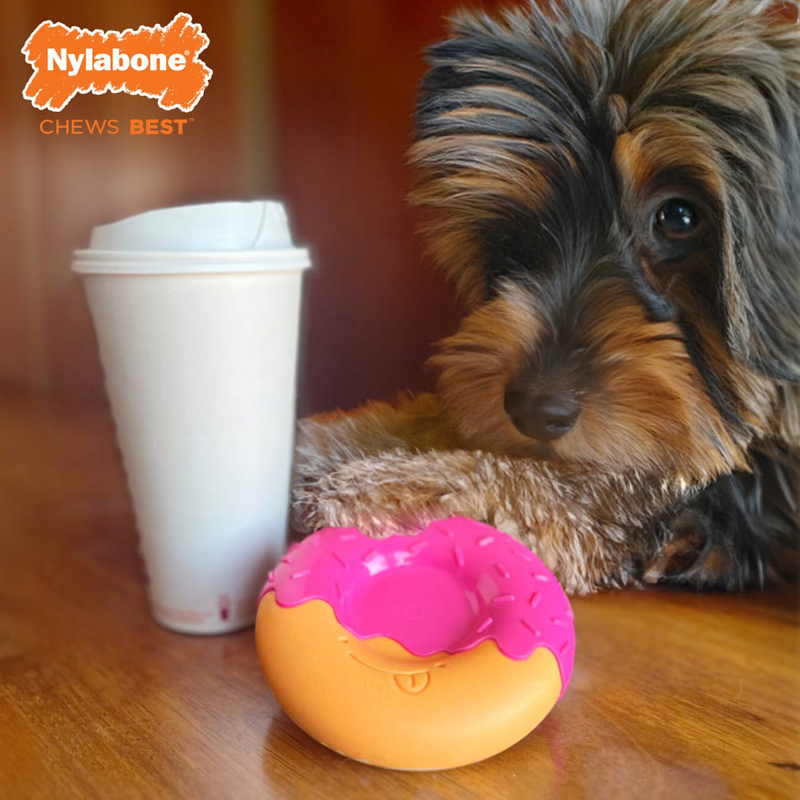 Nylabone Power Chew Donut Bacon Glazed, coffee and donut for dog poster, Nylabone poster, Pet Essentials Warehouse