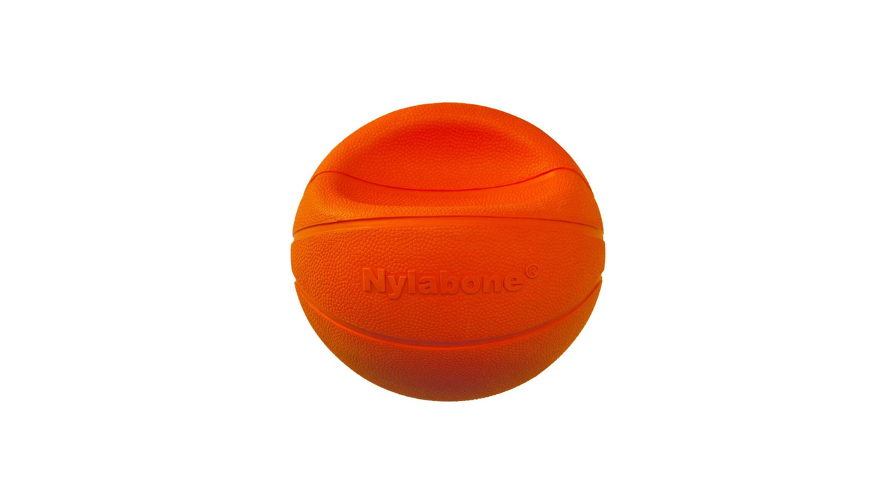 Nylabone Basketball Gripz Dog Toy, Basketball Dog Toy, Power play, Pet Essentials Warehouse