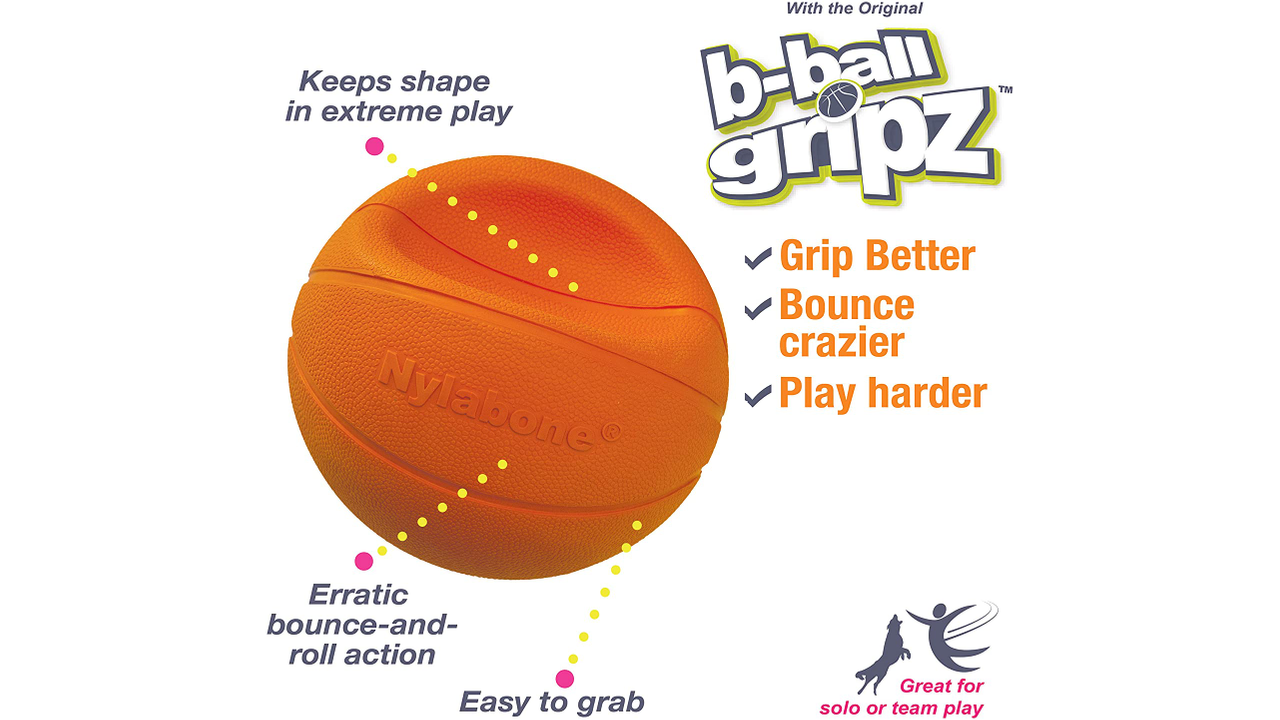 Nylabone Basketball Gripz Dog Toy, Basketball Dog Toy, Power play, Pet Essentials Warehouse, Poster, Bounces, Easy to grab