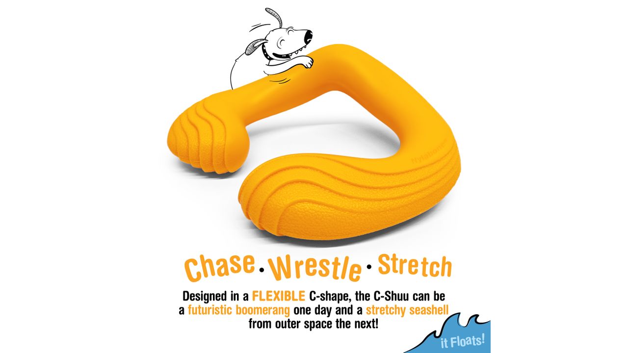 Nylabone Creative Play C-Shuu, chase, wrestle, stretch, pet essentials warehouse 