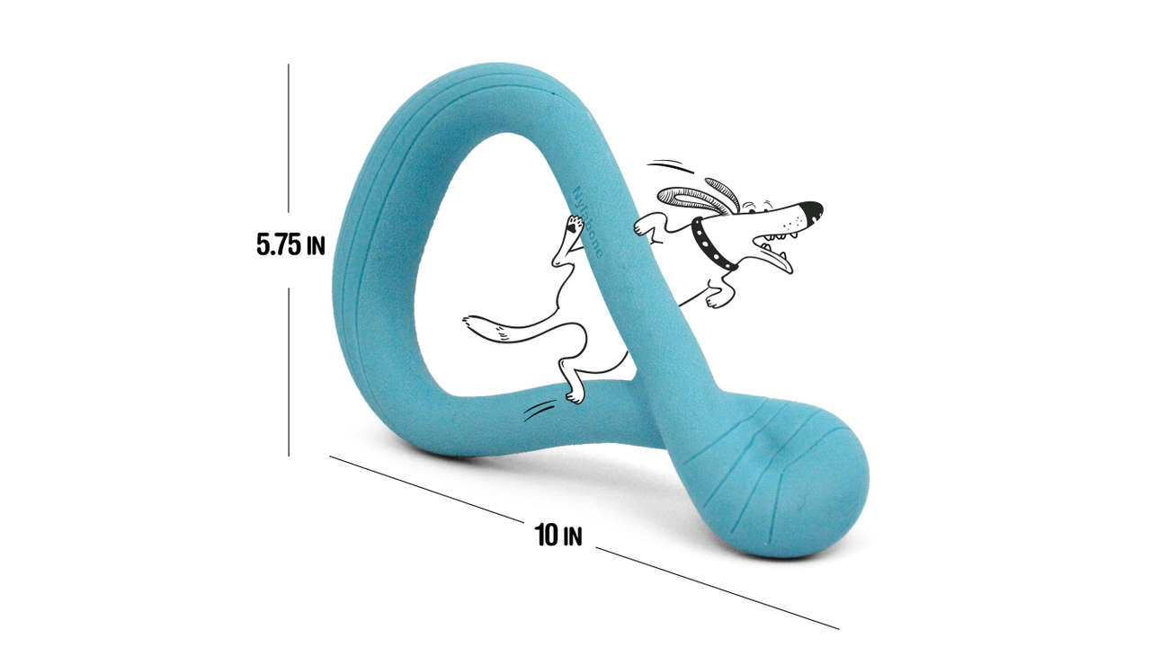 Creative Play Tuug dog toy, Blue large sizing, Pet Essentials Warehouse 