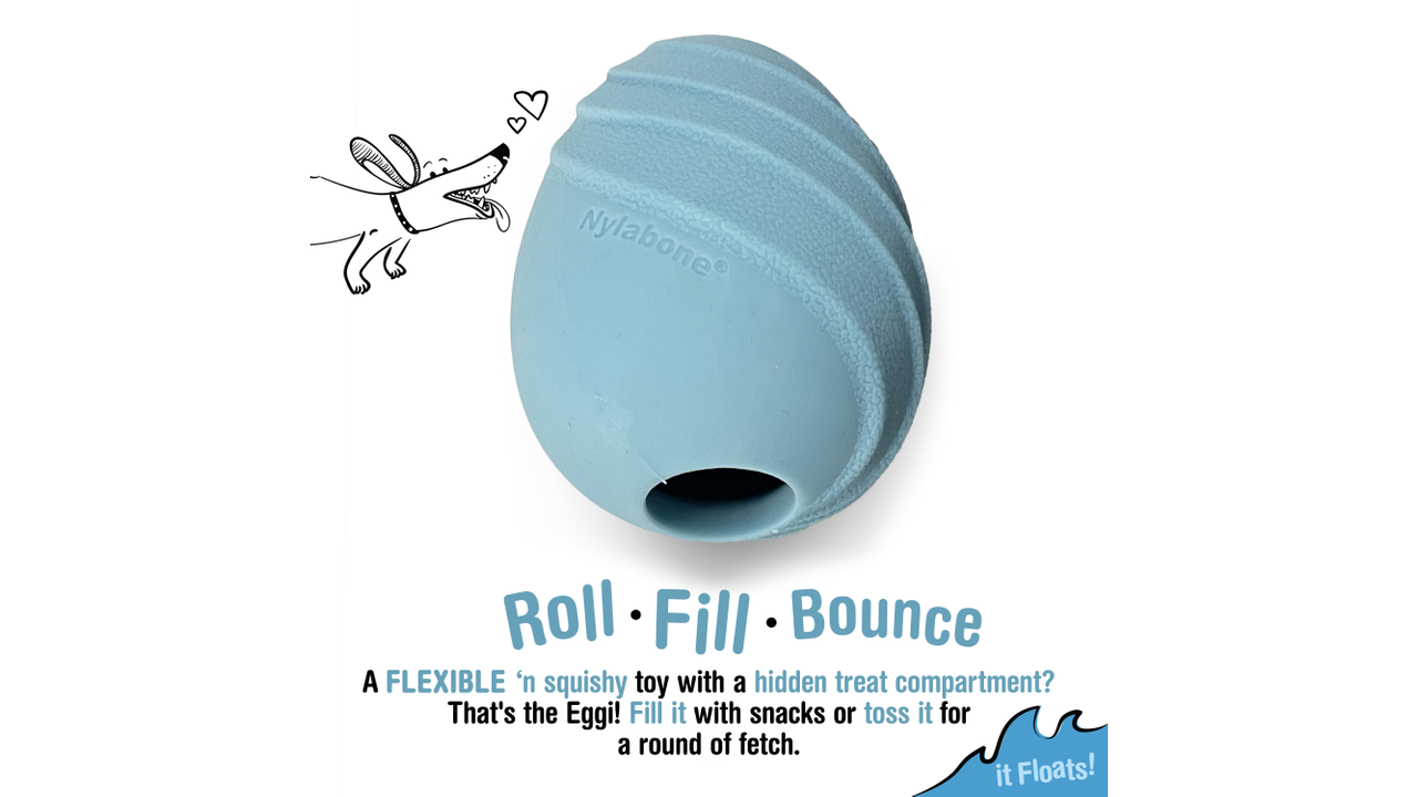 Nylabone Creative Play Eggi, Roll, Fill, Large blue dog toy, Pet Essentials Warehouse