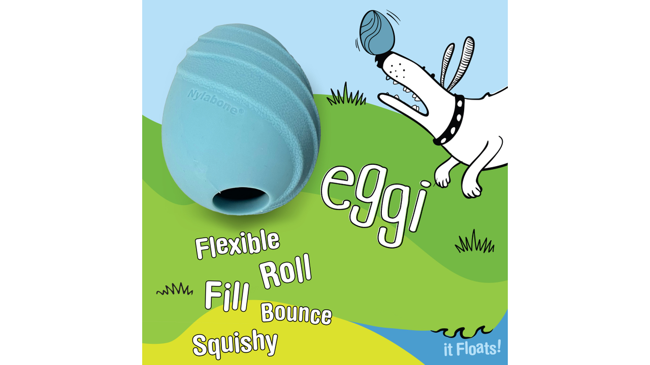 Nylabone Creative Play Eggi, Large Blue dog toy, Fill, Pet Essentials Warehouse