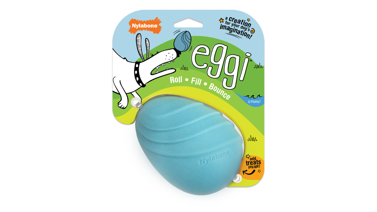 Nylabone Creative Play Eggi, Dog Toy, Front Package, Pet Essentials Warehouse