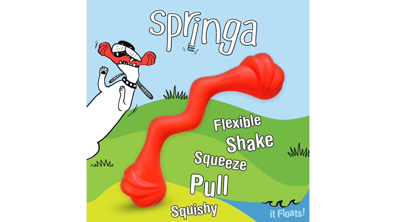 Nylabone Creative Play Springa flexible shake pull dog toy, pet essentials warehouse