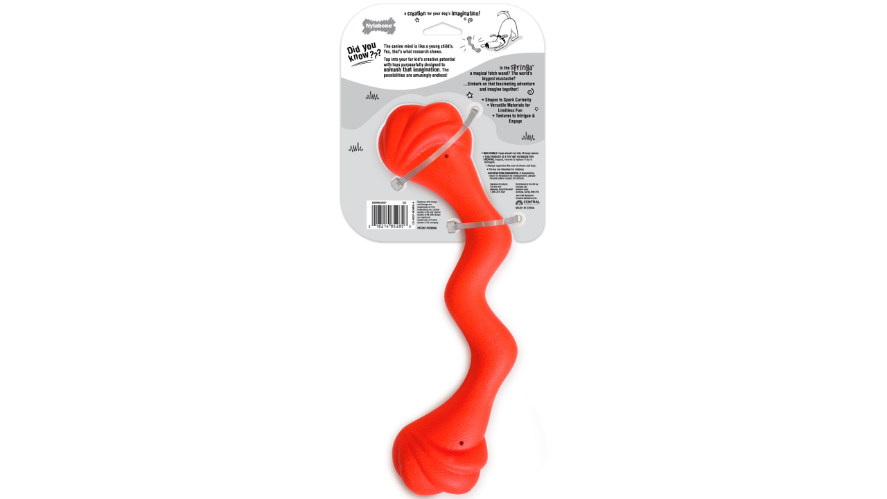 Nylabone Creative Play Springa red large back of packaging barcode, pet essentials warehouse