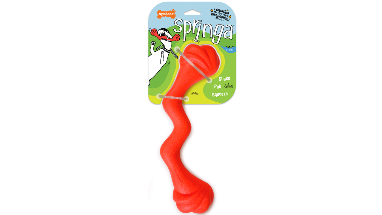 Nylabone Creative Play Springa red large, pet essentials warehouse