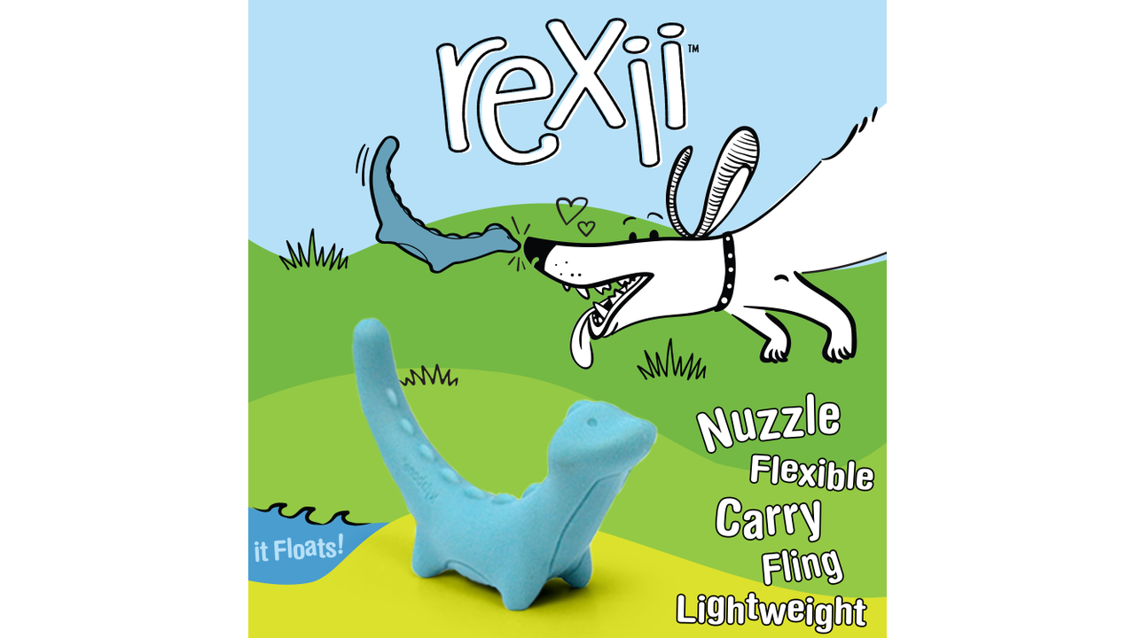 Nylabone Creative Play Rexii, Dog toy, Carry, Light Weight, Pet Essentials Warehouse