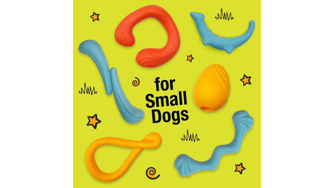 Nylabone Creative Play C-Shuu, poster all small dog toys, pet essentials ware house