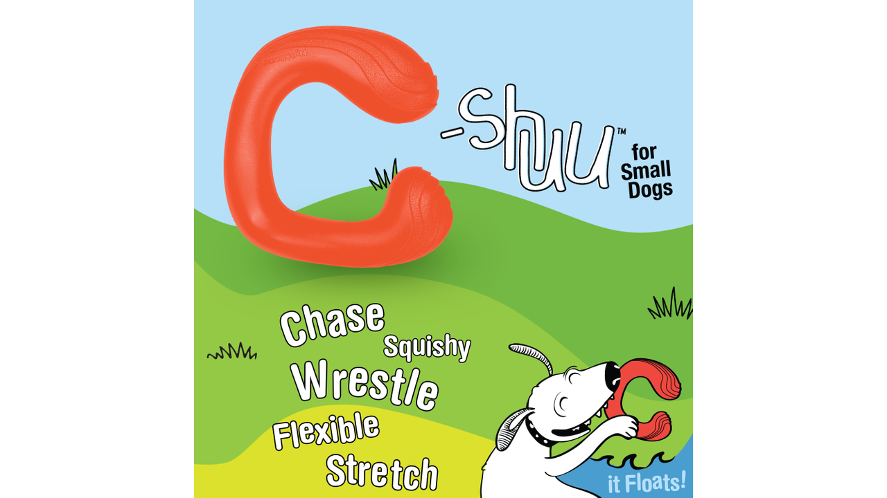 Nylabone Creative Play C-Shuu, it floats, chase, dog toy, pet essentials warehouse 