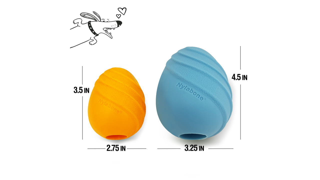 Nylabone Creative Play Eggi, Size comparison, Pet Essentials Warehouse