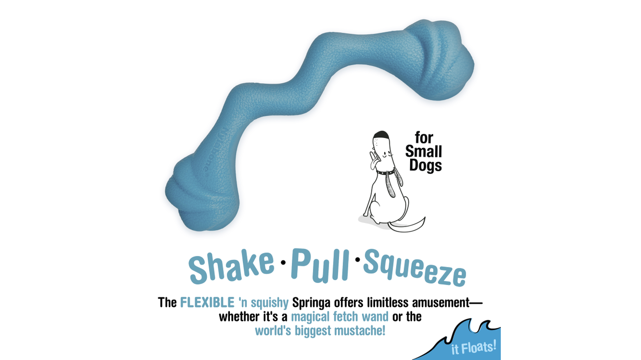 Nylabone Creative Play Springa poster, creative play springa it floats, pet essentials warehouse, pet essentials porirua