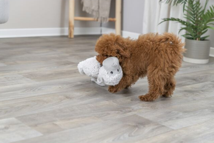 Trixie Be Eco Monkey Dog Toy, Dog Playing with Trixie Be Eco Monkey Dog Toy, Pet Essentials Warehouse