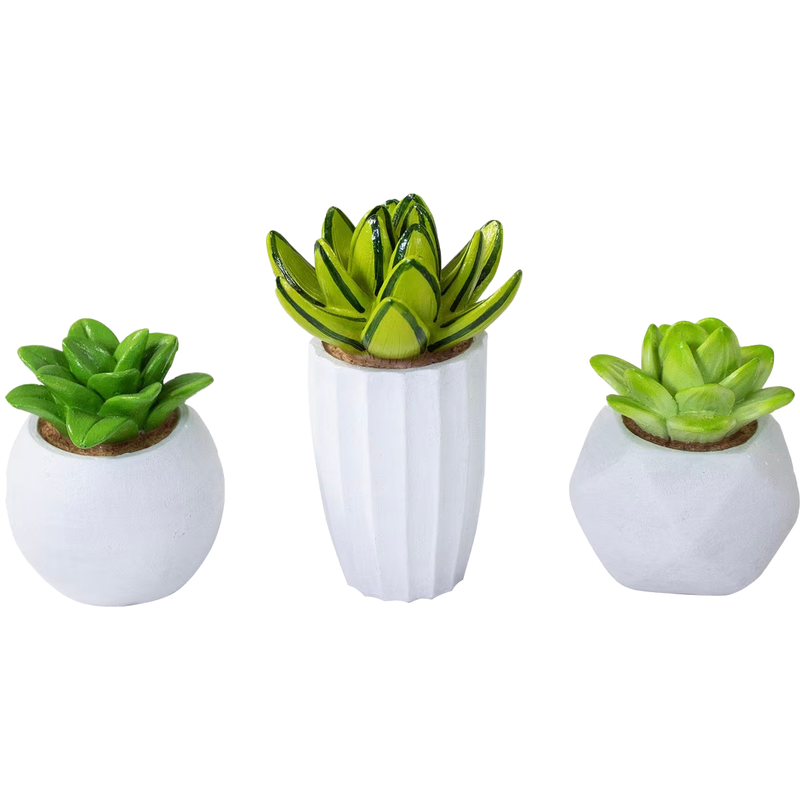 Succulent Resin Kit Ornament, Succulents for fish tanks, 3 pack ornaments, Pet Essentials Warehouse, Pet City