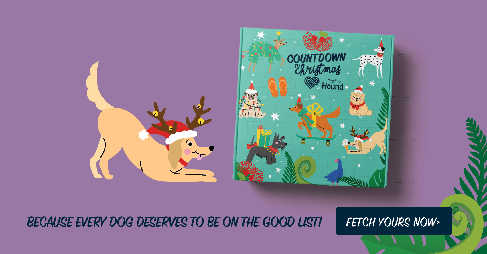 Topflite Christmas Advent Calendars, Pet Essentials Warehouse 