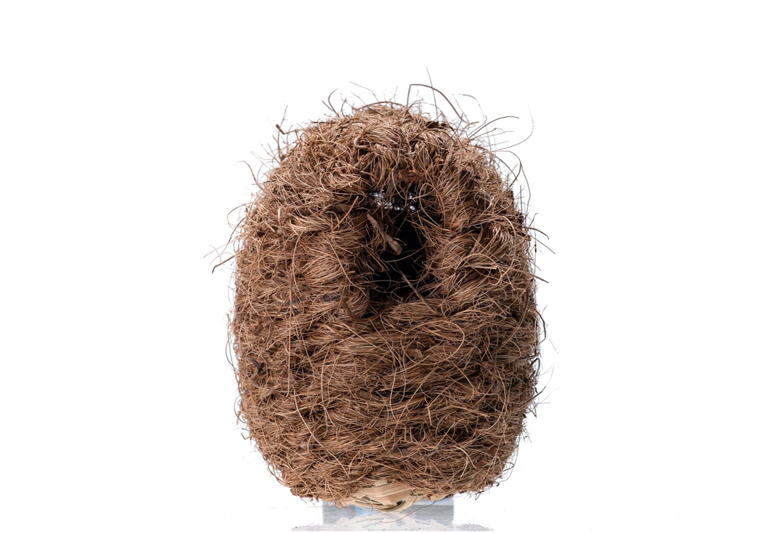 Coconut Finch Nest, Finch Nest, Nest for birds,  Coconut bird nest, Pet Essentials Warehouse