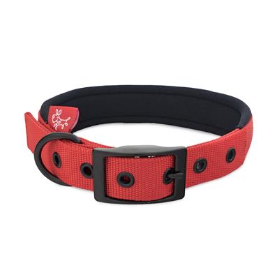 Yours Droolly Collar Foam, Red dog collar, collar for dogs, adjustable collar for dogs, Pet Essentials Warehouse