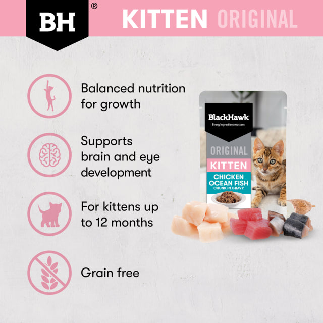 Black Hawk Original Kitten Chicken & Fish in Gravy Wet Cat Food, For Kittens up to 12 months cat food, Poster for Kitten Black Hawk, Pet Essentials Warehouse