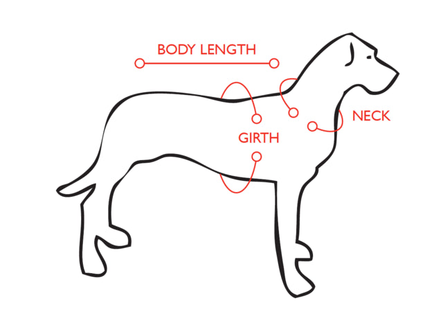 EzyDog Express Harness, Size Guide, How to measure, Pet Essentials Warehouse