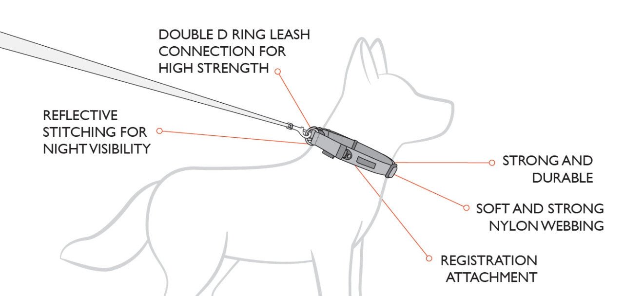 EzyDog Double Up Collar Camo fitting guide, Camo dog collar, pet essentials warehouse