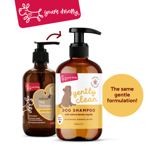 Yours Droolly Gently Clean Dog Shampoo, New Packaging, Dog Shampoo, shampoo for dogs, Pet Essentials Warehouse