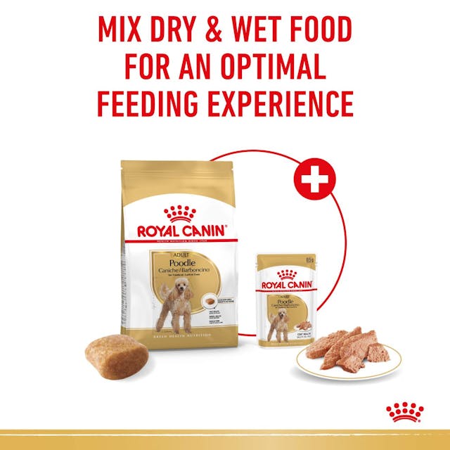 Royal Canin Poodle Adult Dry Dog Food mix dry & wet food, pet essentials warehouse