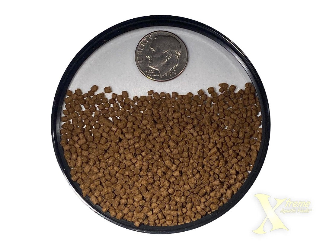 Xtreme Community PeeWee Slow Sinking Pellet Fish Food size comparison