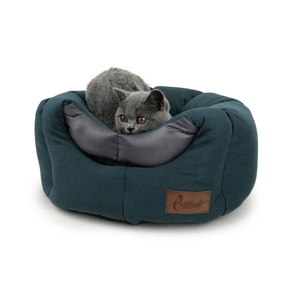 Pet Essentials, Happy Animalz, Pet Essentials Hastings, Pet Essentials Porirua, cat tunnel, cat bed, Cat tunnel extended, the pet centre, the pet shop taupo, happy animalz british blue cat on bed