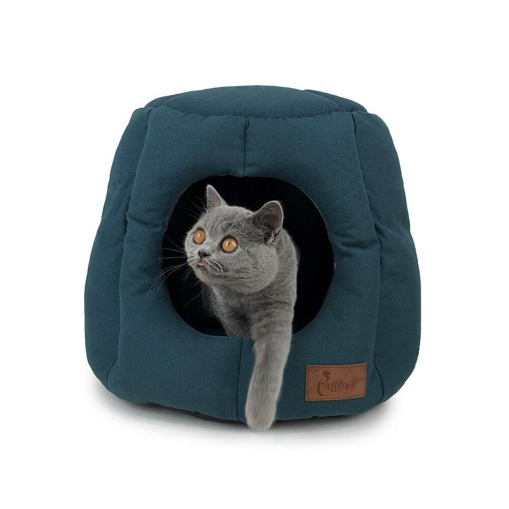 Pet Essentials, Happy Animalz, Pet Essentials Hastings, Pet Essentials Porirua, cat tunnel, cat bed, Cat tunnel extended, the pet centre, the pet shop taupo, british blue cat in a cat tunnel with British blue cat