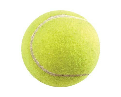 Allpet Canine Care Tennis Ball XLarge Dog Toy - Allpet Dog Toys - Pet ...