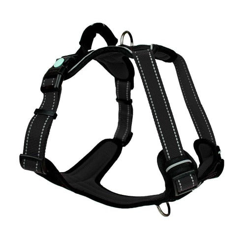 Huskimo Ultimate Harness Dark Sky,  Pet Essentials Napier, Pets Warehouse, PEt Essentials Hastings