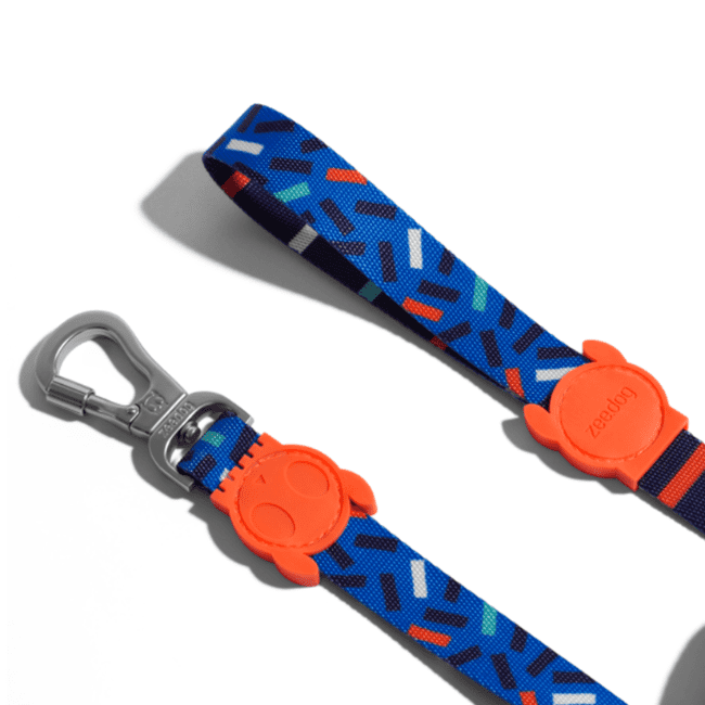 Zee.Dog Lead Atlanta, Zee Dog Leash, Pet Essentials Napier, Zee dog Blue Dog Lead, Animates Zee.Dog Leads, Blue Zee Dog Lead with Orange candy skull