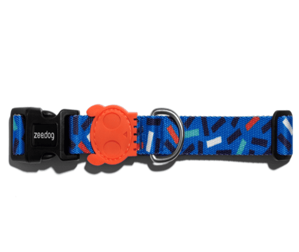 Zee.Dog Collar Atlanta, Zee dog collars nz, Animates zee dog, Pet Essentials Napier, Blue patterned dog collar, orange candy skull