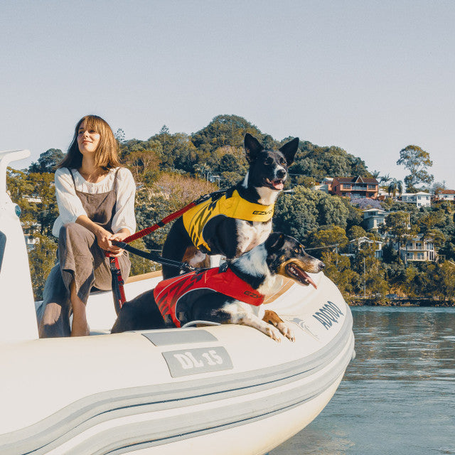 Ezydog Life Jacket DFD X2 Boost on the boat, dogs wearing lifejacket on the boat