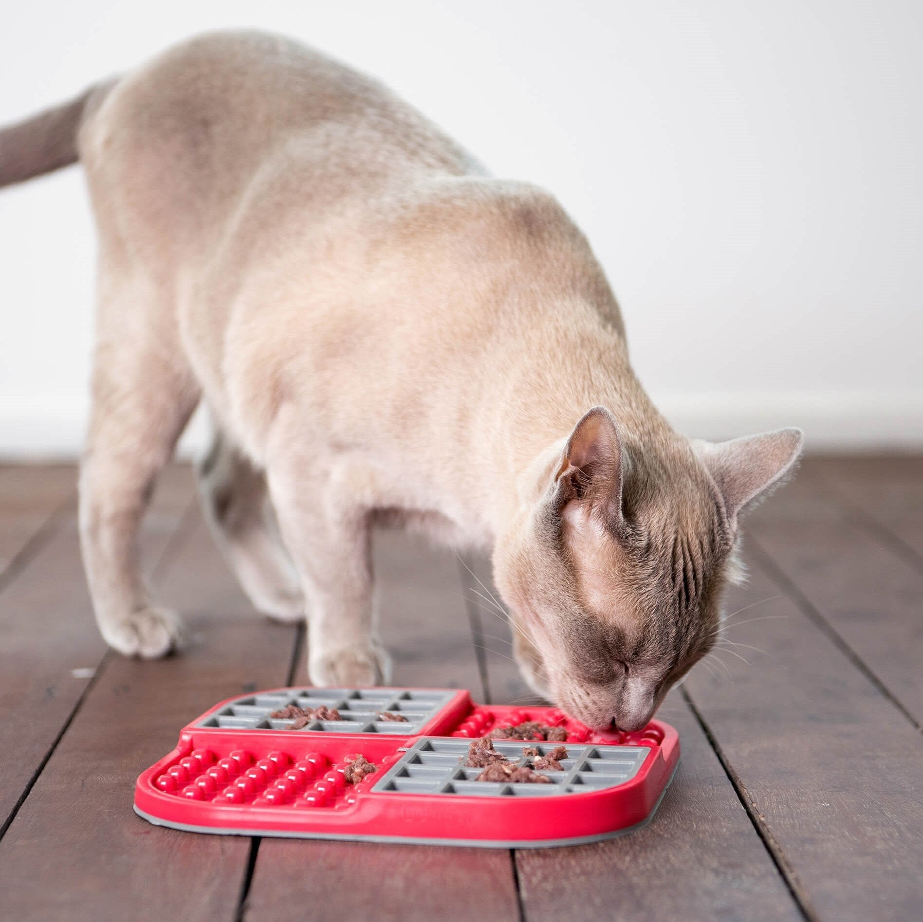 cat using a red LickiMat Slomo, pet essentials warehouse, pet city