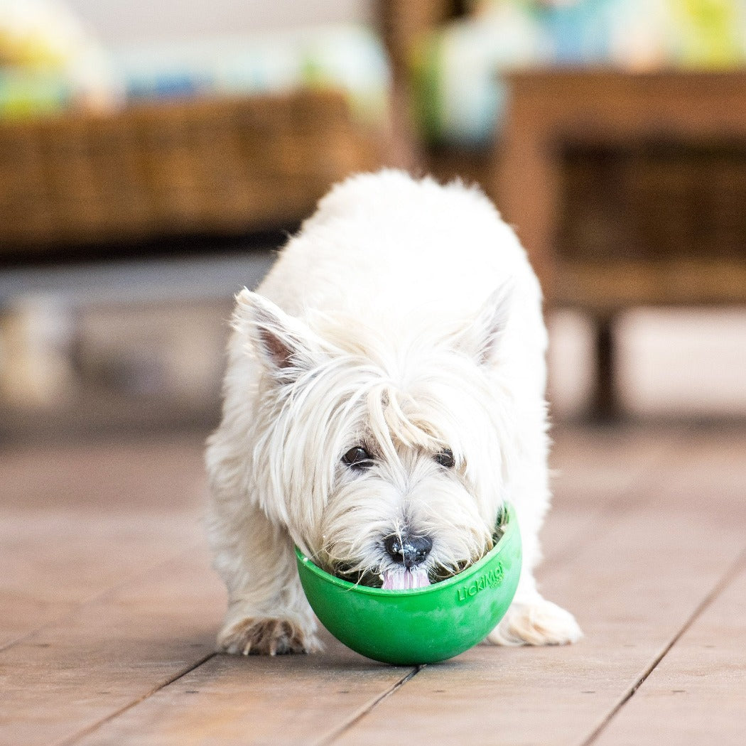 LickiMat Wobble green dog eating out of, dog using lickimat wobble green, pet essentials warehouse, pet city