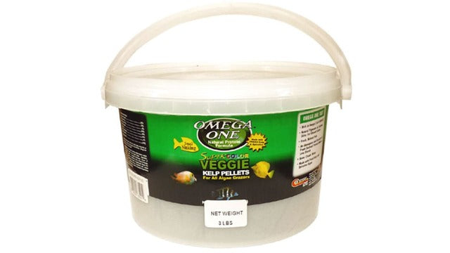 Omega Super Colour Kelp Pellets, omega super colour kelp bucket, pet essentials napier, pet essentials, Hollywood fish farm